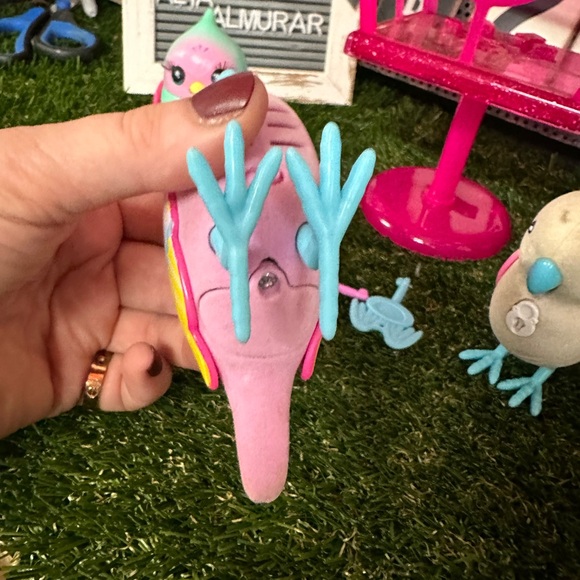 Three live pet birds 🐦 - Picture 7 of 12